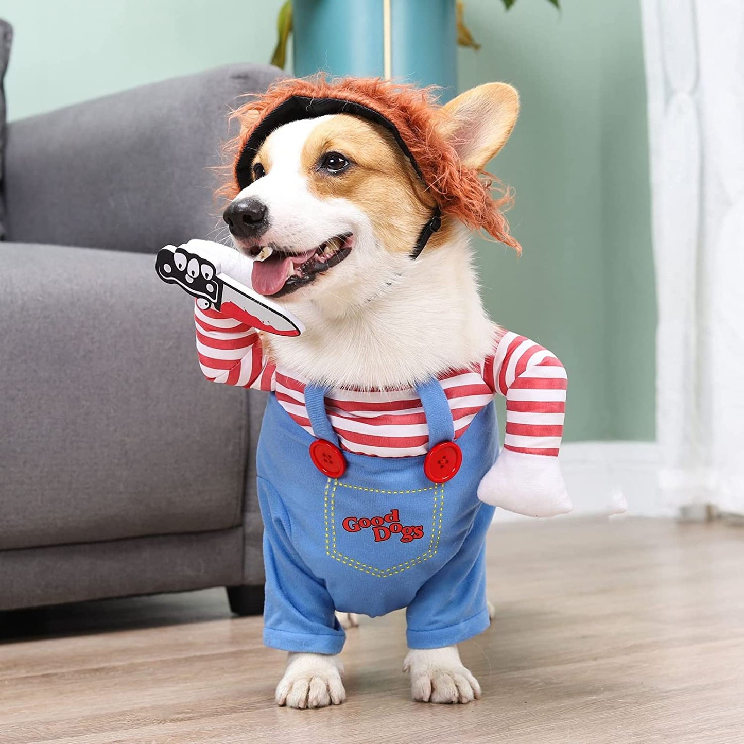 Pet Deadly Dog Costume – Cute & Funny Cosplay Outfit for Small, Medium & Large Dogs | Halloween, Christmas, Party (Small)