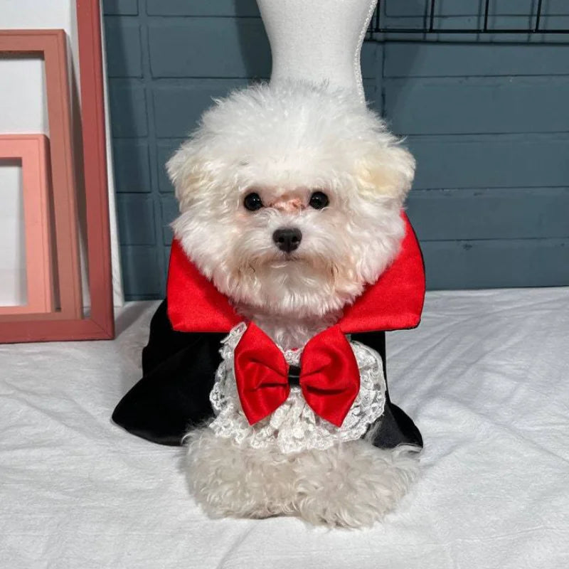 Halloween Pet Cosplay Vampire Cloak for Small Medium Dog Cat Puppy Costumes Kawaii Pet Christmas Festival Outfits