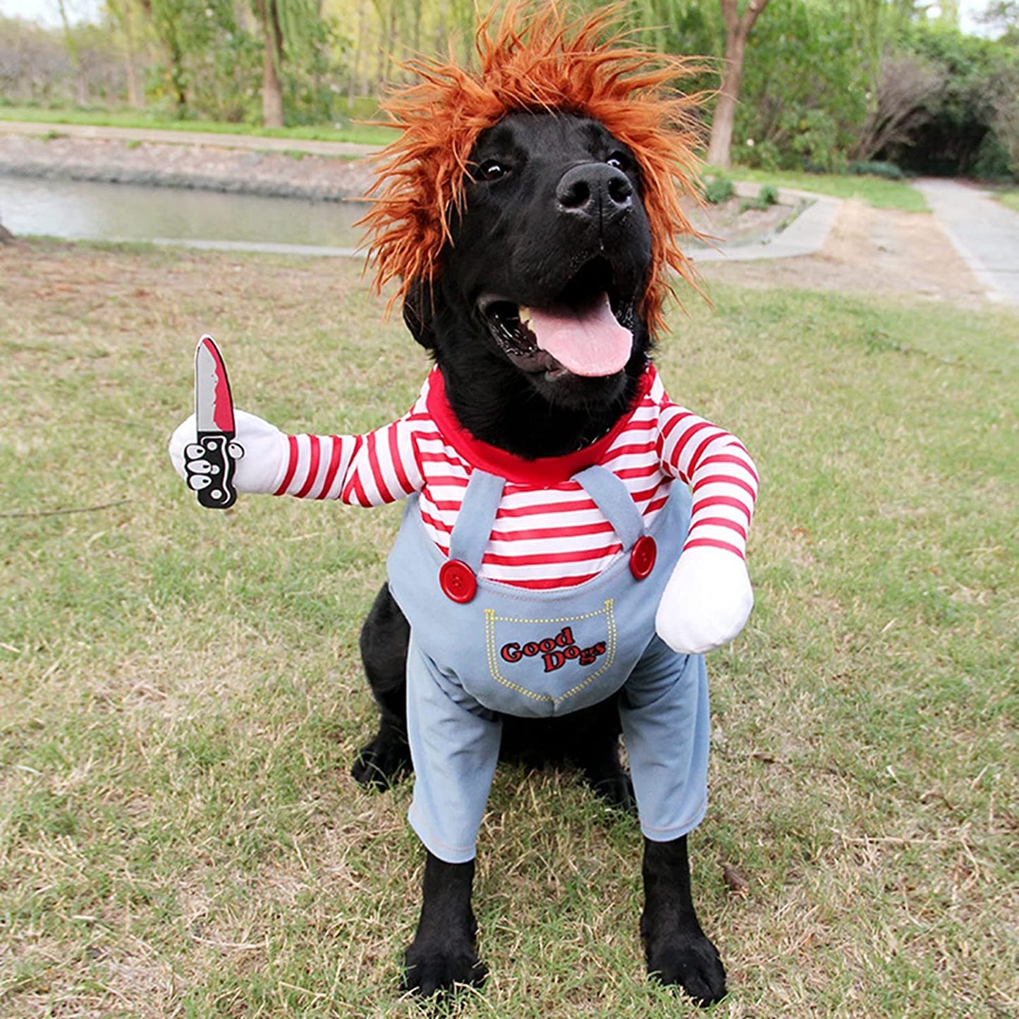 Pet Deadly Dog Costume – Cute & Funny Cosplay Outfit for Small, Medium & Large Dogs | Halloween, Christmas, Party (Small)