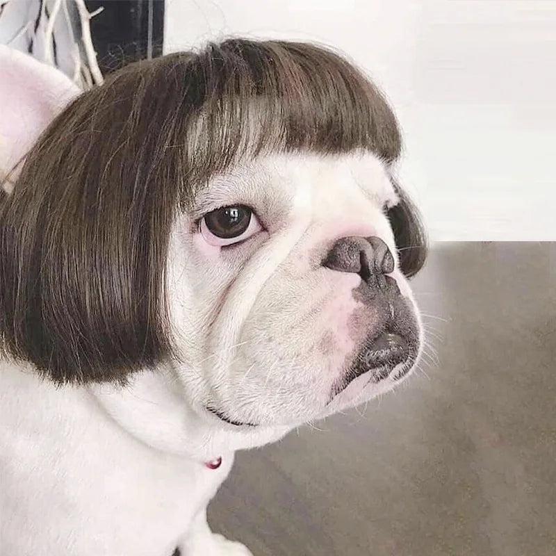 Pet Wigs Cosplay Props Funny Dogs Cats Cross-Dressing Hair Hat Costumes Head Accessories for Halloowen Christmas Pets Supplies