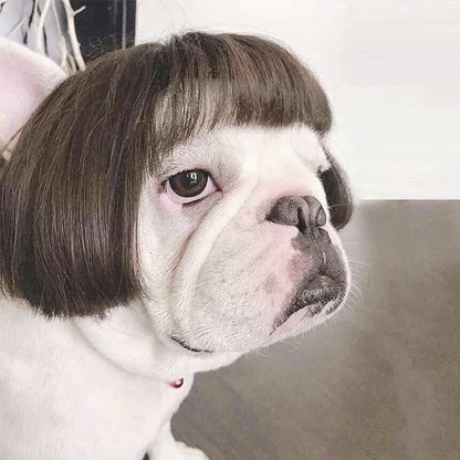 Pet Wigs Cosplay Props Funny Dogs Cats Cross-Dressing Hair Hat Costumes Head Accessories for Halloowen Christmas Pets Supplies