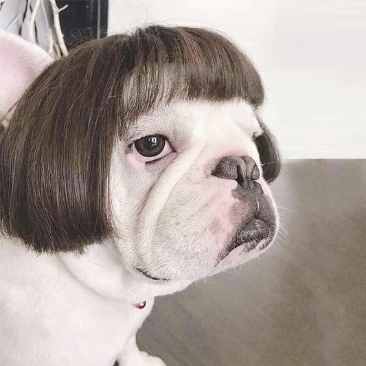 Pet Wigs Cosplay Props Funny Dogs Cats Cross-Dressing Hair Hat Costumes Head Accessories for Halloowen Christmas Pets Supplies
