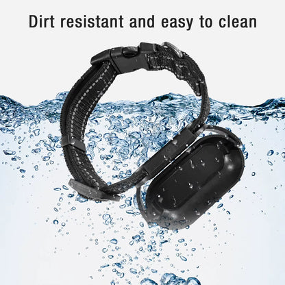 Pet Collar Camera for Cats & Dogs – 120° Wide Angle Lens, OTG Video Recording, Adjustable Magnetic Clip, Outdoor Adventure Camera