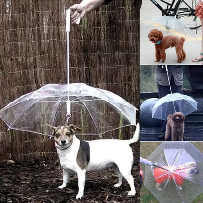 Creative Teddy Poodle Small Dogs Leading Umbrellas Walking Dogs Traveling Out Dogs Waterproof Poncho Pet Products