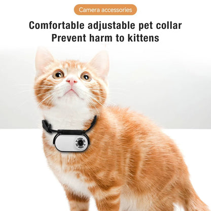 Pet Collar Camera for Cats & Dogs – 120° Wide Angle Lens, OTG Video Recording, Adjustable Magnetic Clip, Outdoor Adventure Camera