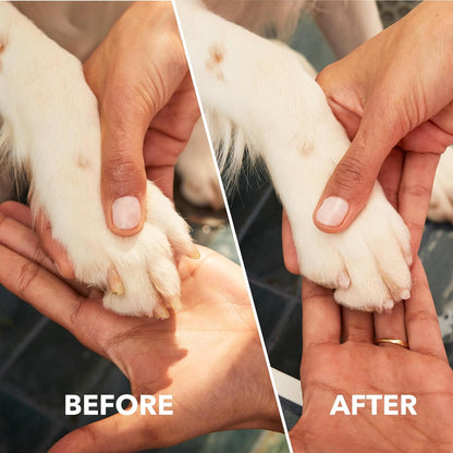 Pawcontrol 7760-PGK Dog Nail Grinder & Trimmer | Cordless Rechargeable Pet Grooming Tool | Safe & Quiet Nail Care for Dogs, Cats & Small Animals