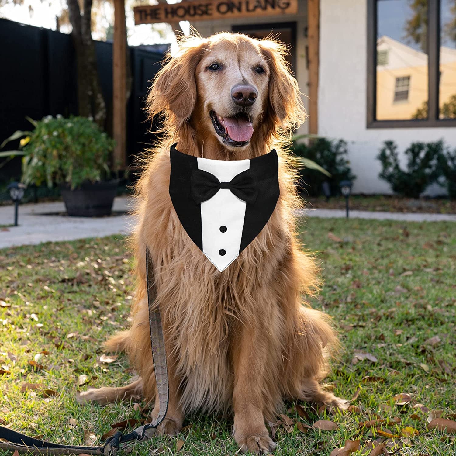 Dog Tuxedo Suit with Bow Tie – Formal Wedding Bandana Collar, Adjustable Pet Tux for Engagements, Parties & Birthdays (Fits Small, Medium & Large Dogs, Neck 15”-25”)