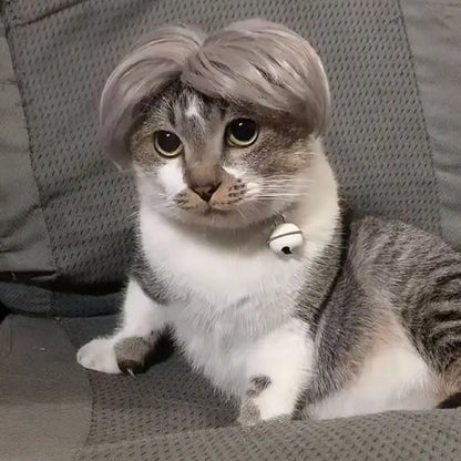 Pet Wigs Cosplay Props Funny Dogs Cats Cross-Dressing Hair Hat Costumes Head Accessories for Halloowen Christmas Pets Supplies