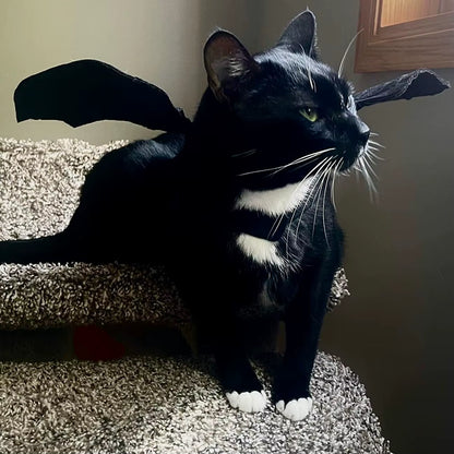 TONG Cat Halloween Costume Bell Halloween Bat Wings Pet Costumes for Small Dogs Cats Halloween Party Small