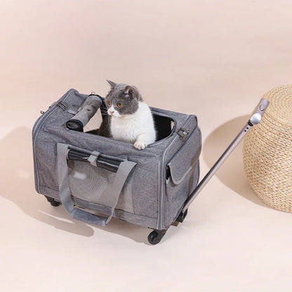 Rolling Pet Carrier for Small Dogs & Cats – Airline Approved, Foldable 2-in-1 Dog Carrier & Pet Stroller for Pets Up to 15 lbs
