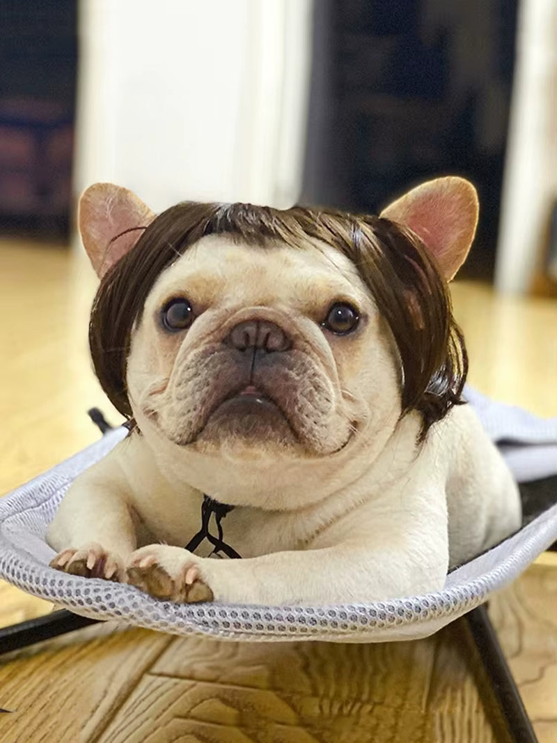 Pet Wigs Cosplay Props Funny Dogs Cats Cross-Dressing Hair Hat Costumes Head Accessories for Halloowen Christmas Pets Supplies