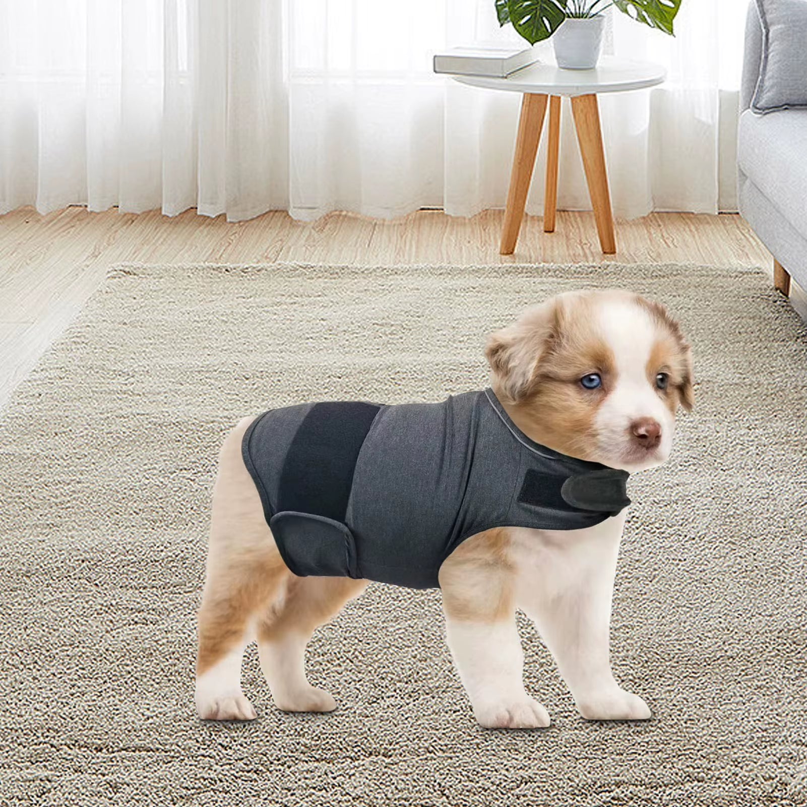 Classic Dog Anxiety Jacket Breathable Dog Calming Vest Thunder Vest for Dogs Anxiety Shirt Dog Clothes for Anxiety Stress Relief