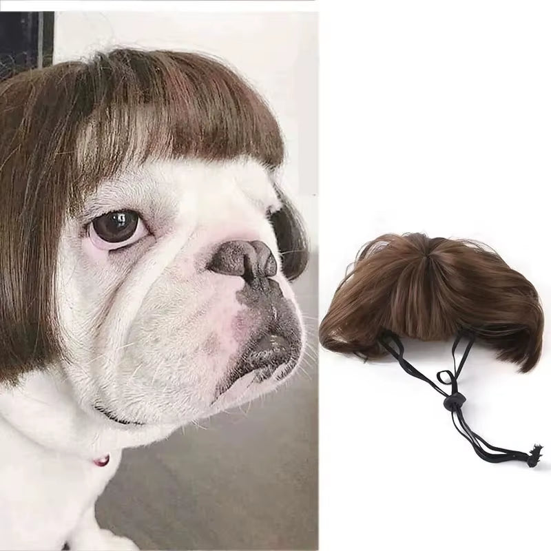 Pet Wigs Cosplay Props Funny Dogs Cats Cross-Dressing Hair Hat Costumes Head Accessories for Halloowen Christmas Pets Supplies