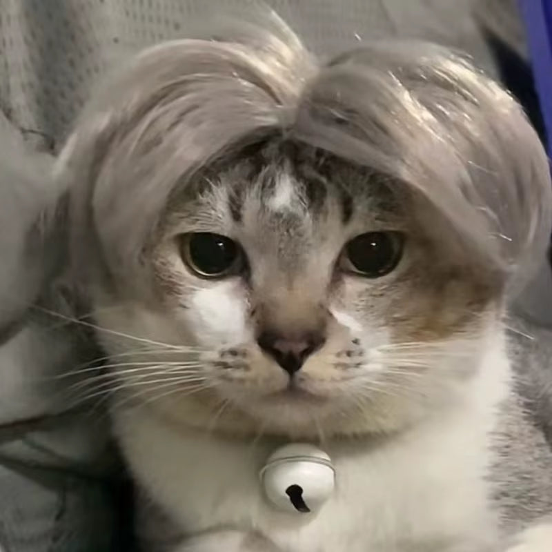 Pet Wigs Cosplay Props Funny Dogs Cats Cross-Dressing Hair Hat Costumes Head Accessories for Halloowen Christmas Pets Supplies